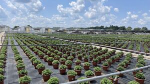 Growers Offer Tips and Tricks on Cultivate’24 Greenhouse Tour