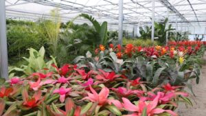 Highlights From Greenhouse Grower’s August 2024 Issue