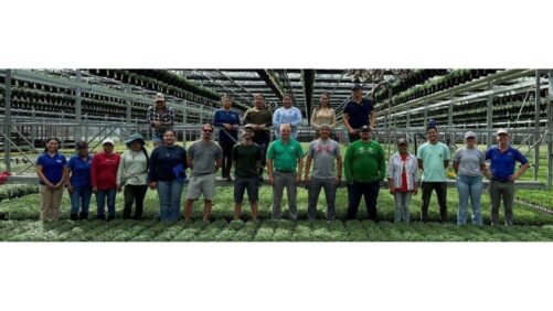 The University of Florida Debuts New Survey to Guide Future Greenhouse Training Courses