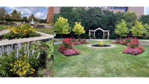 Standout Varieties Featured in the 2024 Michigan Garden Plant Tour