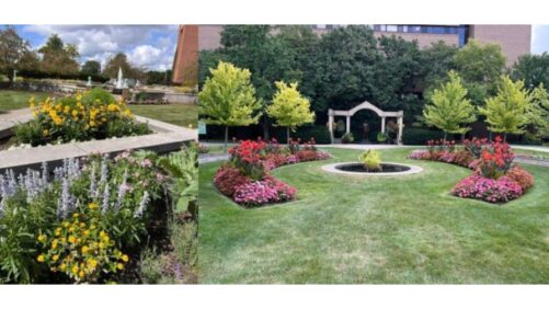 Standout Varieties Featured in the 2024 Michigan Garden Plant Tour