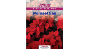 Don’t Miss Greenhouse Grower’s Digital Deep Dive on Poinsettias