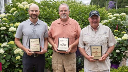 4 Top Brand Licensee Partners Honored by Bailey Nurseries