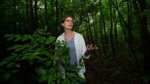 Biologist Organizes Public Gardens to Protect against New Invasive Species