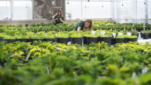 Horticulture Degree Programs See Highest Enrollment in a Decade