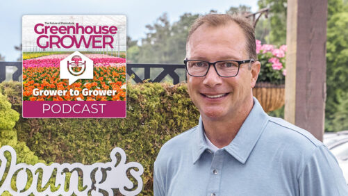 Greenhouse Grower to Grower Podcast: Get to Know Tom Costamagna, Greenhouse Grower’s 2024 Head Grower of the Year (Part One)