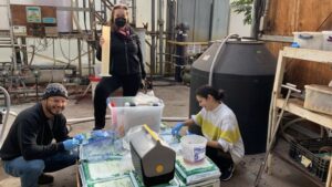 Developing Innovative Irrigation Practices for Boosting Nutrients in Greenhouses