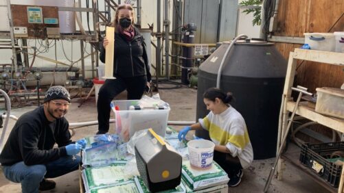 Developing Innovative Irrigation Practices for Boosting Nutrients in Greenhouses