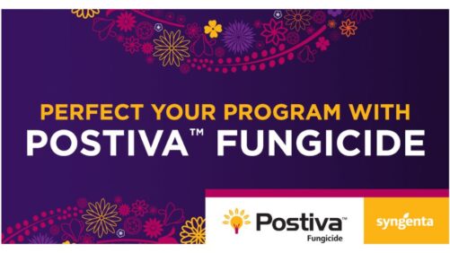 Syngenta’s Postiva Fungicide Now Registered for Use in California