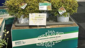 Proven Winners ColorChoice Varieties Triumph at Plantarium 2024