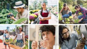 Learning Opportunity: Exploring Career Opportunities in Horticulture