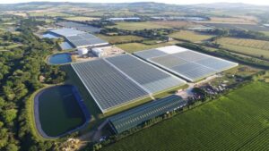 New CEA Project to Enhance Collaboration in AI, Energy, and Robotics