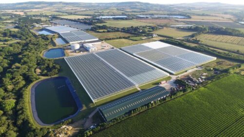 New CEA Project to Enhance Collaboration in AI, Energy, and Robotics