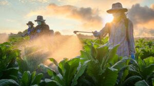 Enforcement of the 2024 Farmworker Protection Rule Paused for Now