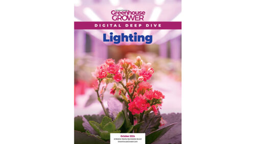 Don’t Miss Greenhouse Grower’s Digital Deep Dive on Lighting