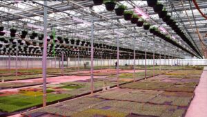 What to Know When Applying for an LED Rebate Program