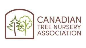 5.3 Billion Seedlings Required for Wildfire Restoration Plan in Canada