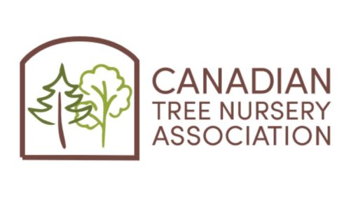 5.3 Billion Seedlings Required for Wildfire Restoration Plan in Canada