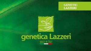 Lazzeri Announces New Distribution Partner for Duna ColorBlast Varieties