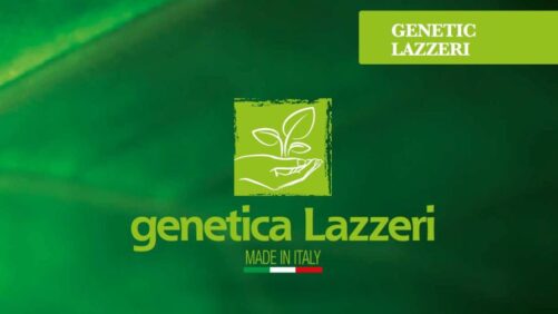 Lazzeri Announces New Distribution Partner for Duna ColorBlast Varieties