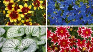 Introducing Terra Nova’s New Companion Plant List for the 2025 Colors of the Year
