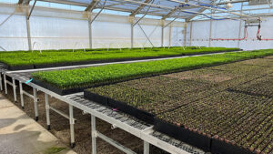 Heat2O Hydronic Heat