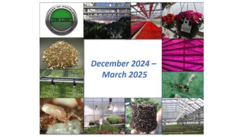 4 New Greenhouse Online Courses Announced by Michigan State University