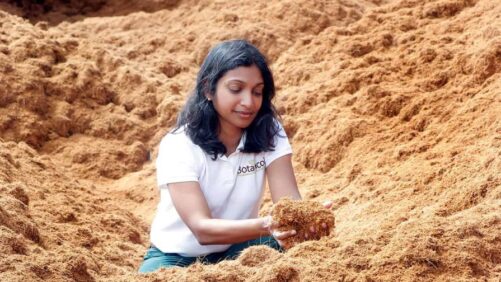 Introducing Precision Start: A Peat-Free Coir for Plant Propagation