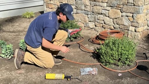 Horticultural Research Institute Awards New England-Based Scholarship