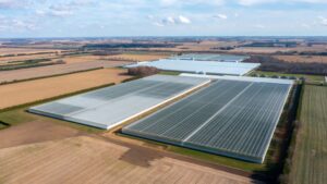 Cox Farms Grows Into North America’s Largest Greenhouse Operator