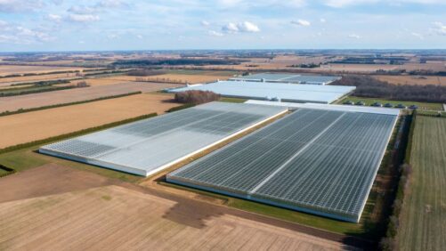 Cox Farms Grows Into North America’s Largest Greenhouse Operator
