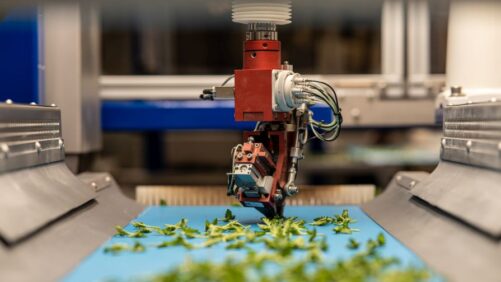 What You Need to Know about the ISO Horti and TTA Merger