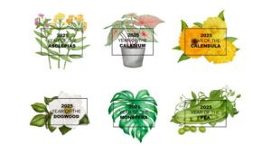 National Garden Bureau Launches 2025 ‘Year of the’ Plant Campaign