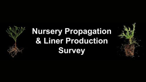 Ohio State University Announces New Survey on Woody Ornamental Production
