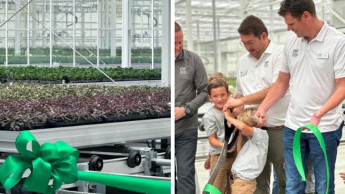 The Plant Company Announces New Greenhouse Space Additions