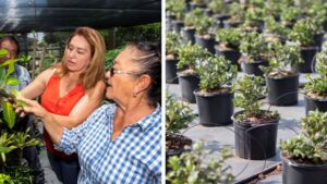 New Research into Nursery Industry Automation to Be Funded by $1 Million Grant