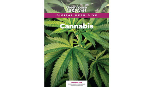 Don’t Miss Greenhouse Grower’s Digital Deep Dive on Cannabis