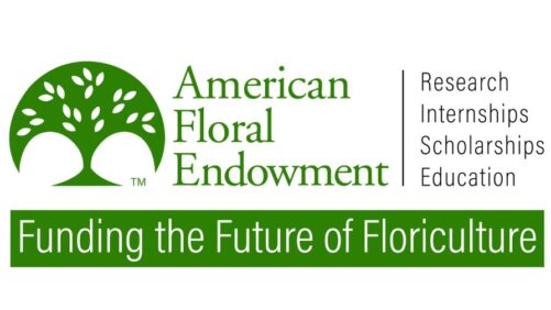 American Floral Endowment: A Recap of the Year’s Achievements