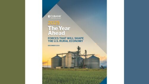 Trade Wars, Tariffs, and Other Trends Defining the U.S. Ag Economy in 2025