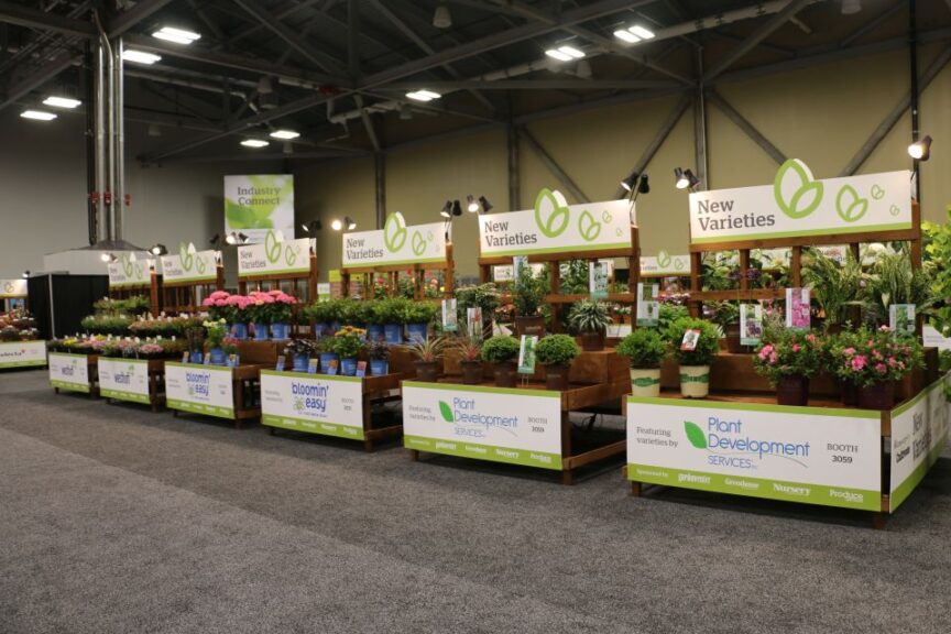 5. Highlights from the New Varieties Zone at Cultivate’24