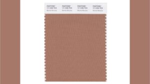 Pantone Announces Its Color of the Year 2025: Mocha Mousse