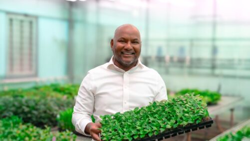 Substrate Innovation Leads to Improved Rooting, Water Uptake