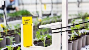 Why Biological Crop Protection Was Added to WUR’s Autonomous Greenhouse Challenge