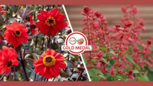 Fleuroselect Announces New Gold Medal Winners for 2025