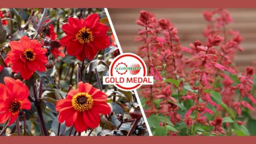 Fleuroselect Announces New Gold Medal Winners for 2025