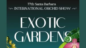 Announcing the 77th Santa Barbara International Orchid Show