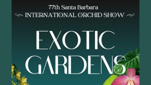 Announcing the 77th Santa Barbara International Orchid Show