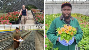 How Breeders Beautify Our World (Part 1)