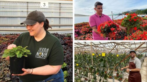 How Breeders Beautify Our World (Part 2)