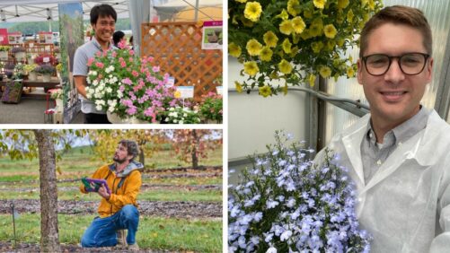 How Breeders Beautify Our World (Part 3)